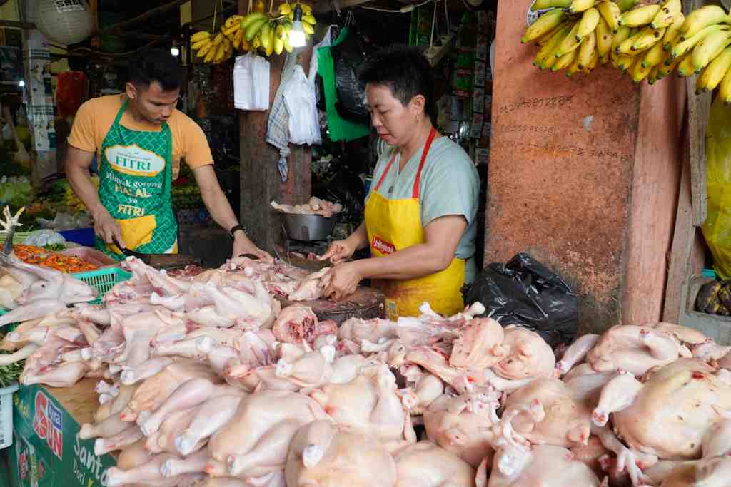 HARGA AYAM POTONG STABIL