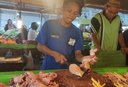 PASOKAN DAGING AYAM