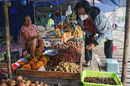 BUAH LOKAL KHAS KALIMANTAN TENGAH 