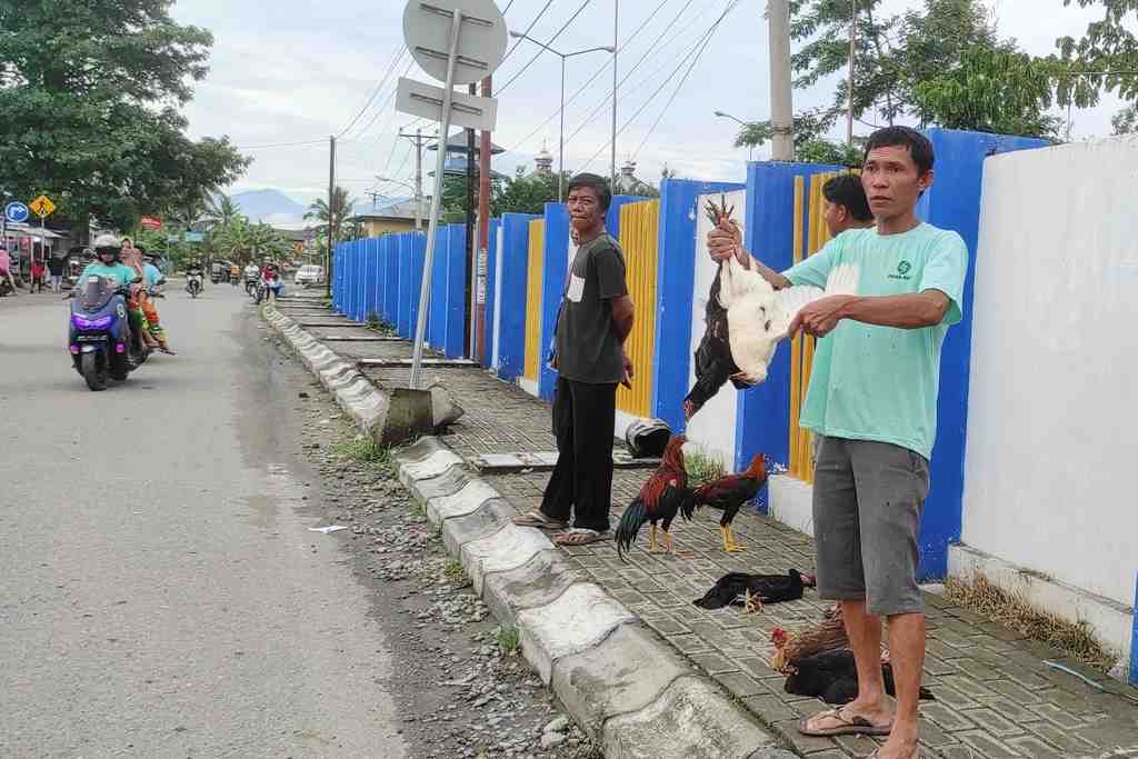 PENJUAL AYAM KAMPUNG