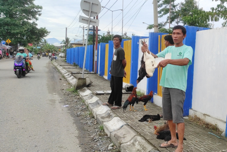 PENJUAL AYAM KAMPUNG