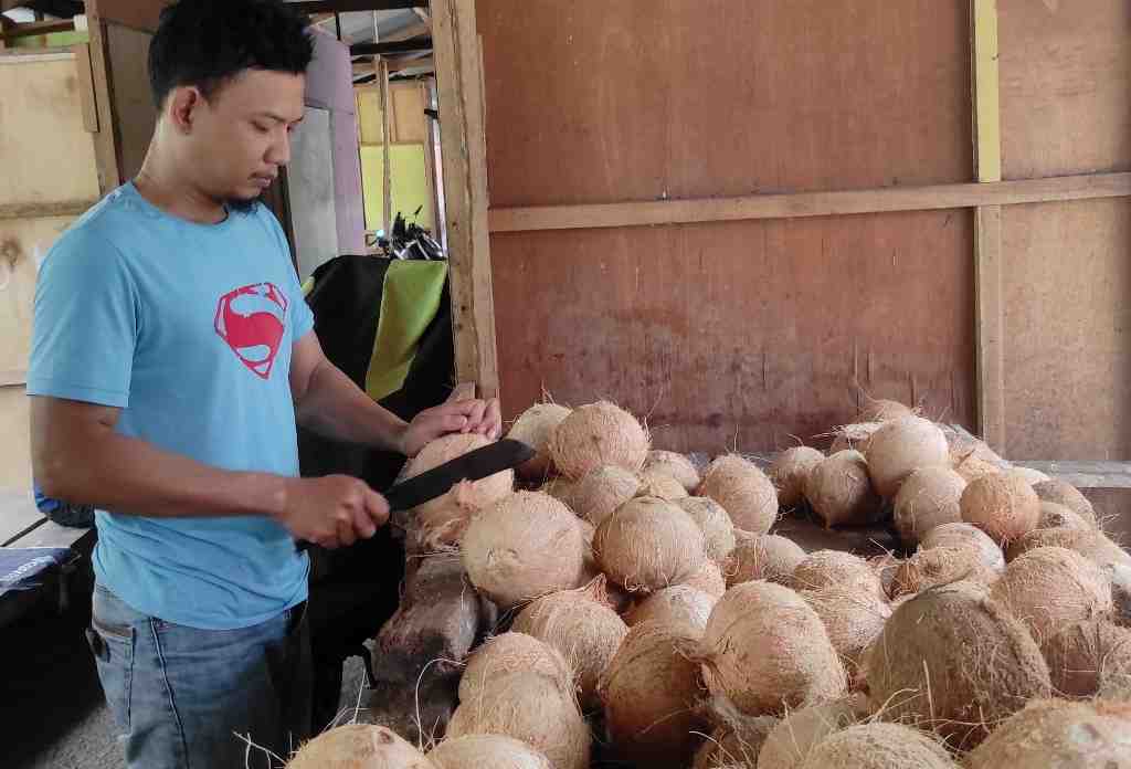 PENJUAL BUAH KELAPA