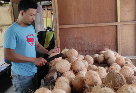 PENJUAL BUAH KELAPA