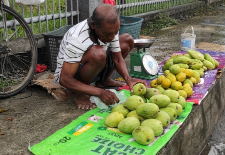 PENJUAL BUAH MANGGA