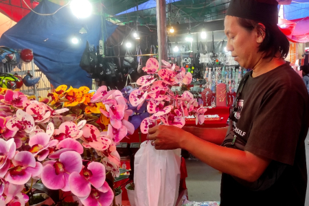 PENJUAL BUNGA ANGGREK LATEKS
