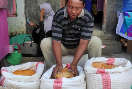 PENJUAL BUTIRAN JAGUNG