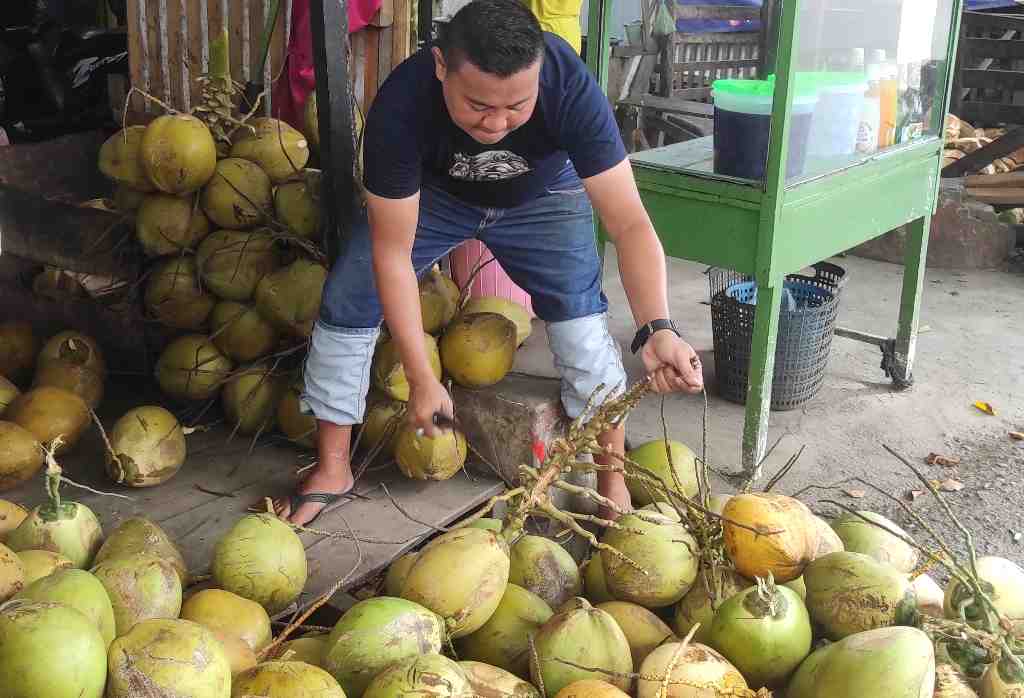 PENJUAL KELAPA MUDA