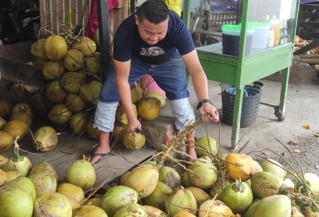 PENJUAL KELAPA MUDA
