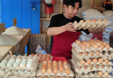 PENJUAL TELUR