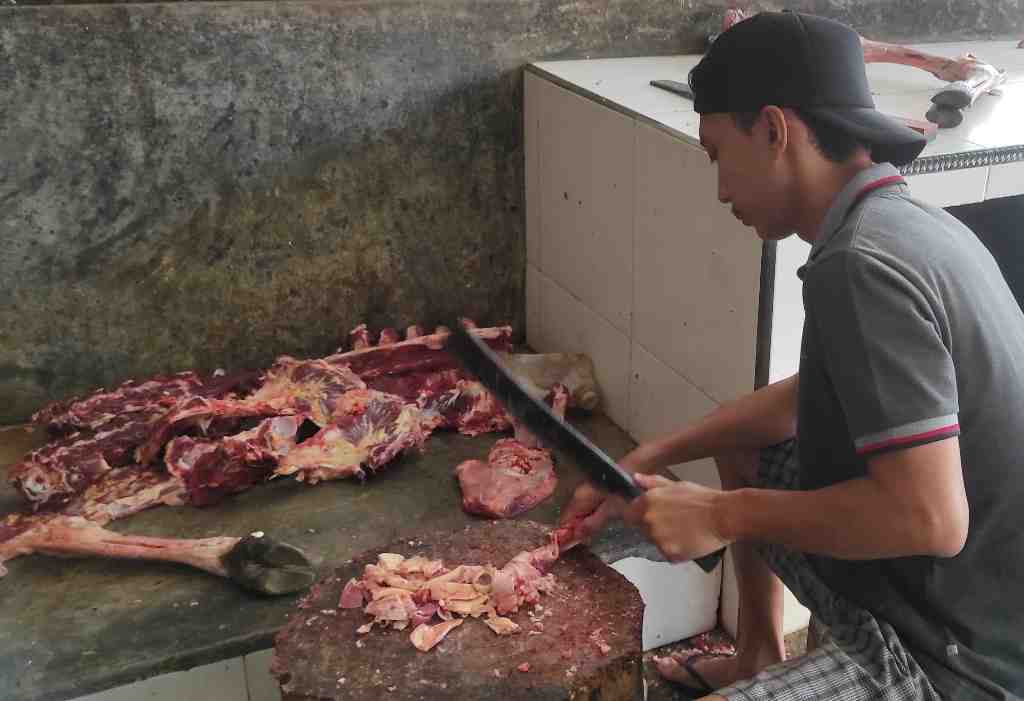 POTONG TULANG SAPI