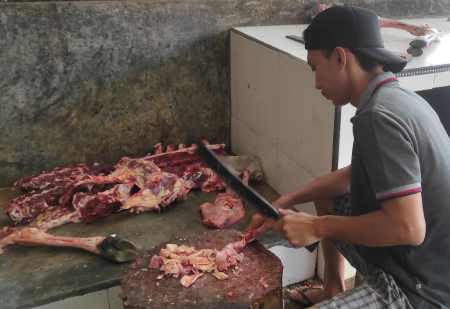 POTONG TULANG SAPI