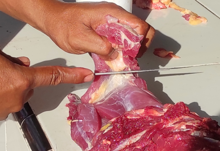 PRODUKSI DAGING di GORONTALO