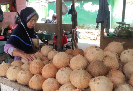 PRODUKSI KELAPA GORONTALO