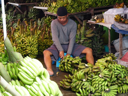 MENJUAL BUAH PISANG