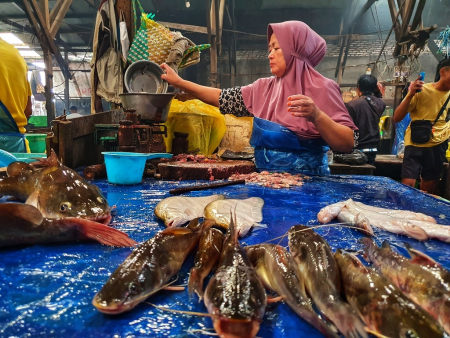 MENJUAL IKAN SUNGAI