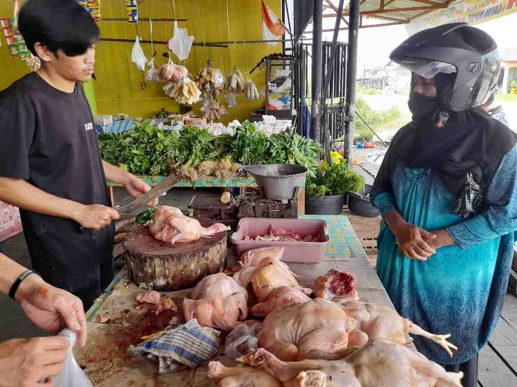 HARGA AYAM POTONG STABIL 