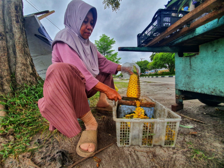 MENGUPAS BUAH NANAS
