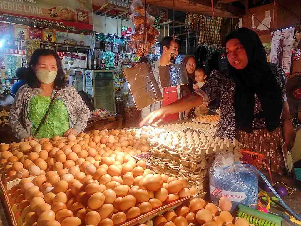HARGA TELUR AYAM STABIL