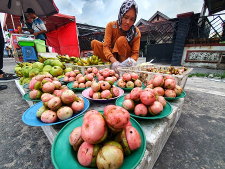 PENJUAL BUAH KALANGKALA