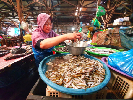 MENIMBANG IKAN SELUANG
