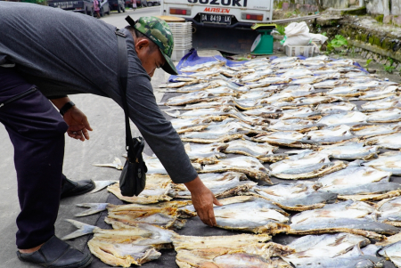 JEMUR IKAN ASIN JENIS OTEK