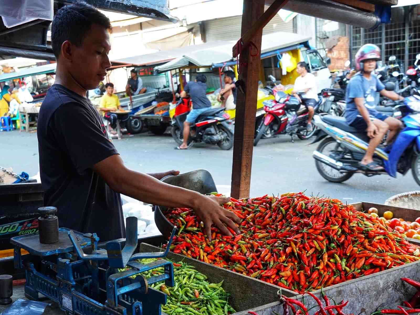 HARGA CABAI RAWIT STABIL