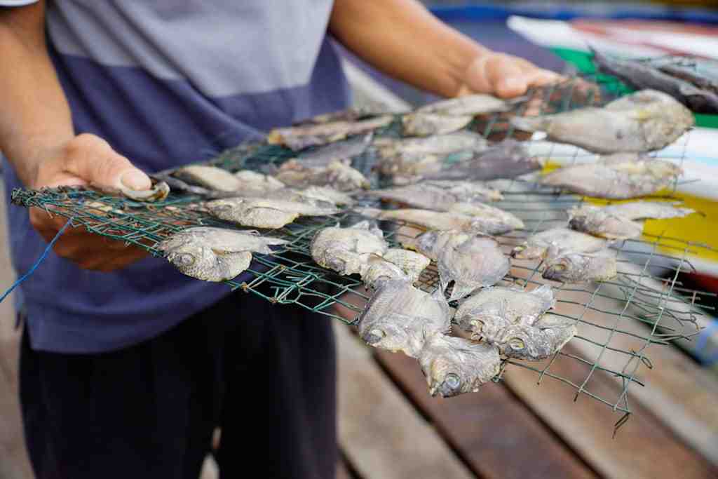 MENUNJUKKAN IKAN SEPAT KERING