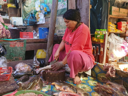 BERSIHKAN IKAN 