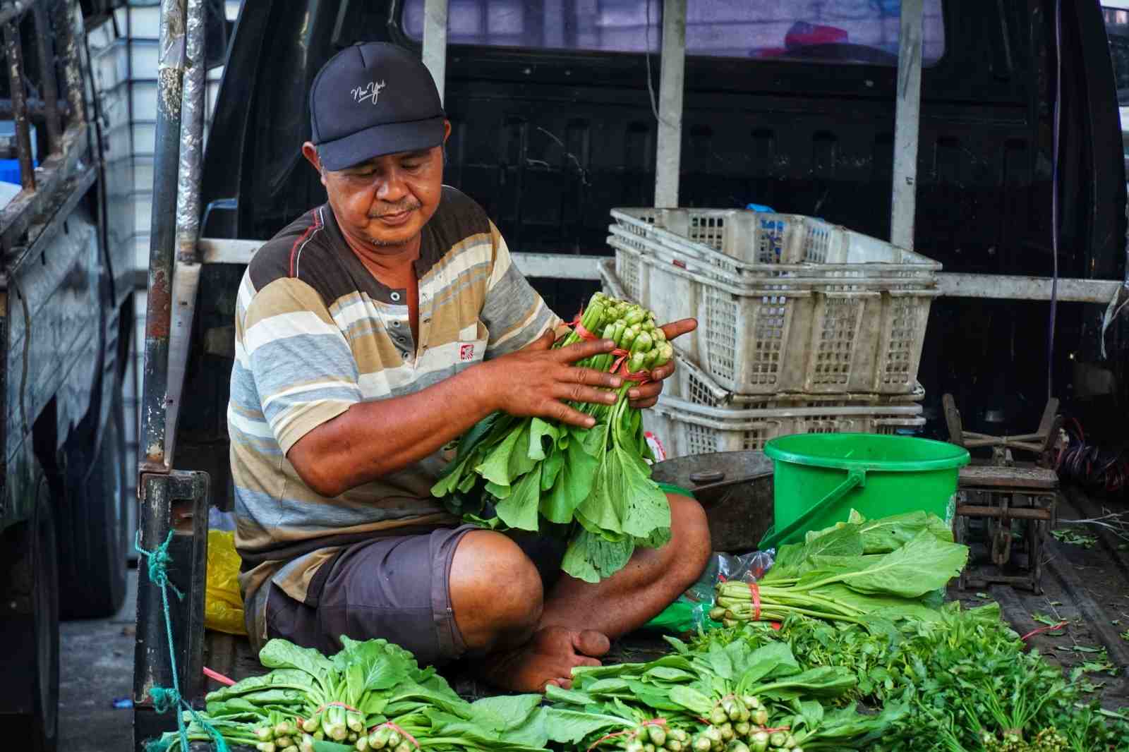 MENGIKAT SAWI HIJAU