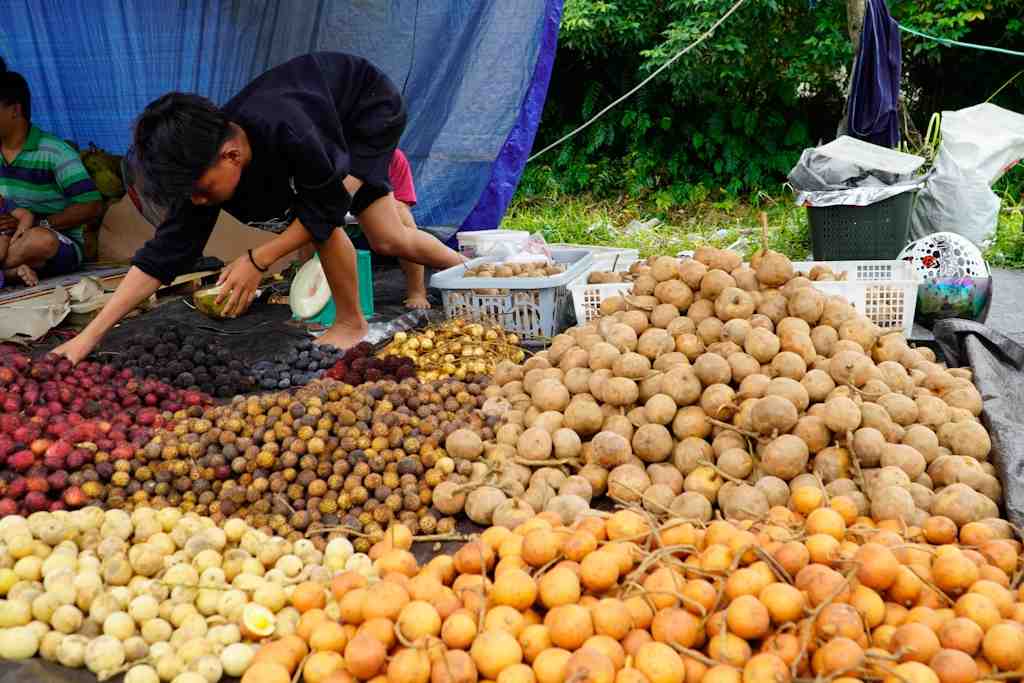 JUAL ANEKA BUAH HUTAN KALIMANTAN