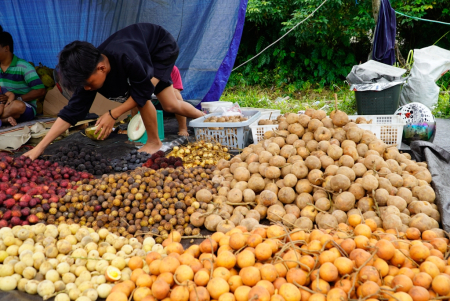 JUAL ANEKA BUAH HUTAN KALIMANTAN