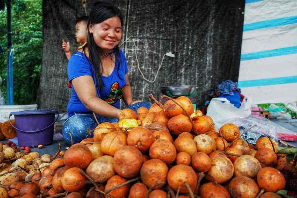 MENYUSUN BUAH TAMPUI
