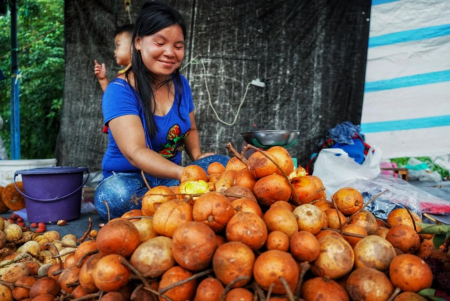 MENYUSUN BUAH TAMPUI
