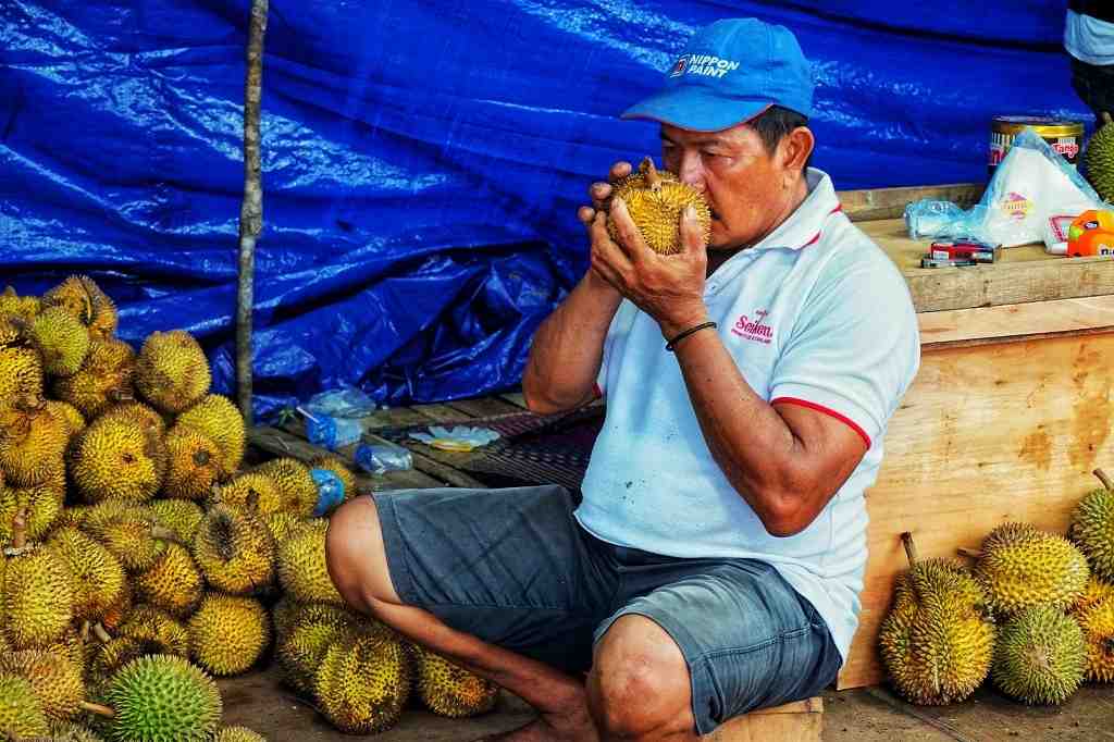 PENJUAL DURIAN KASONGAN