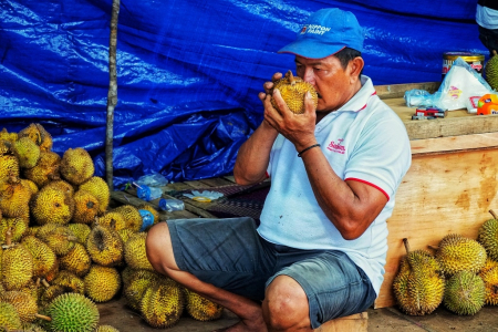 PENJUAL DURIAN KASONGAN