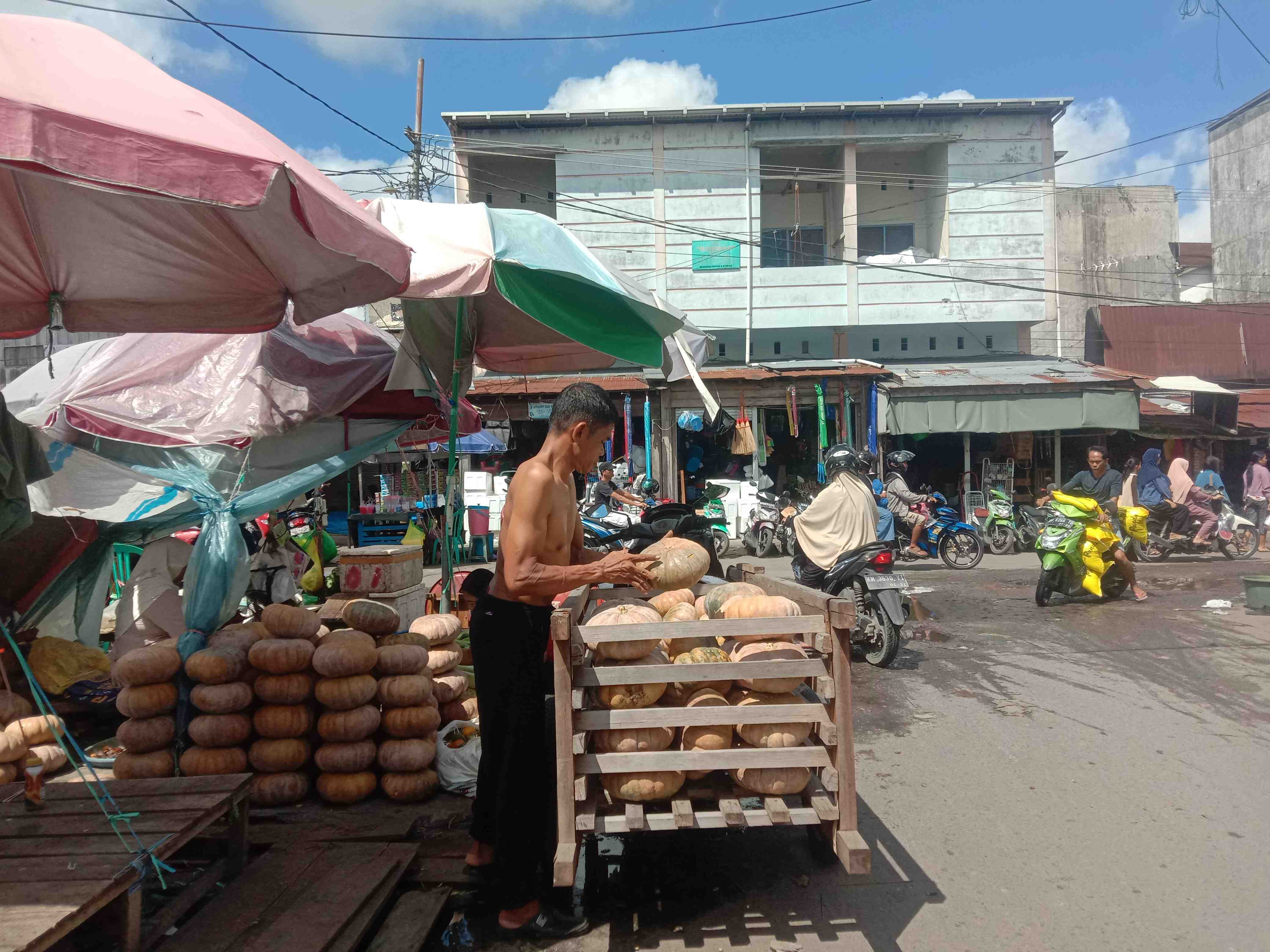 MENGAMBIL LABU KUNING