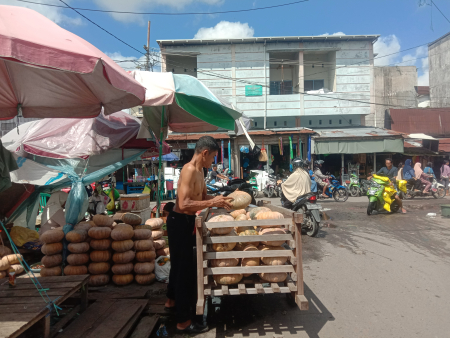 MENGAMBIL LABU KUNING