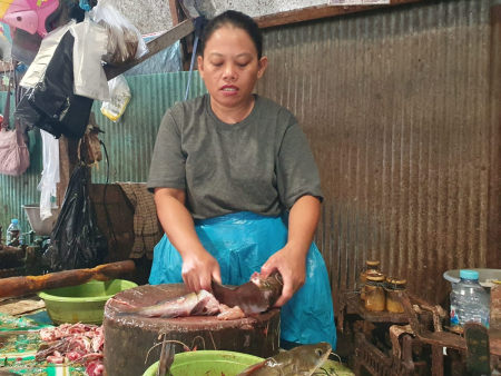 PENJUAL IKAN SUNGAI