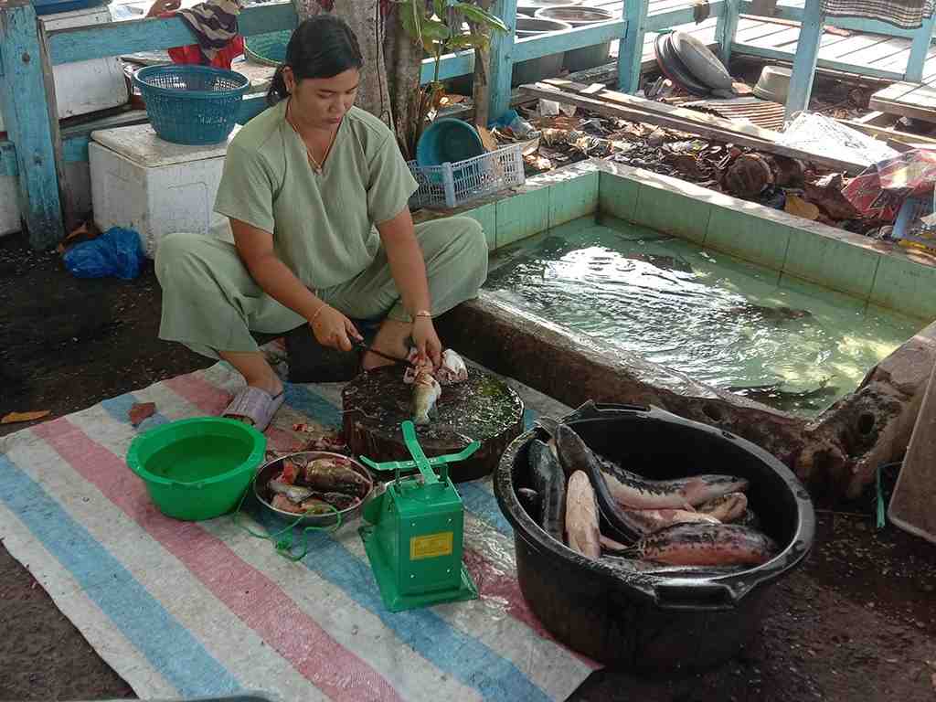 BERSIHKAN IKAN BAUNG