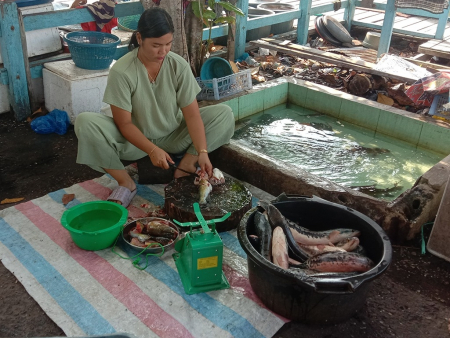 BERSIHKAN IKAN BAUNG