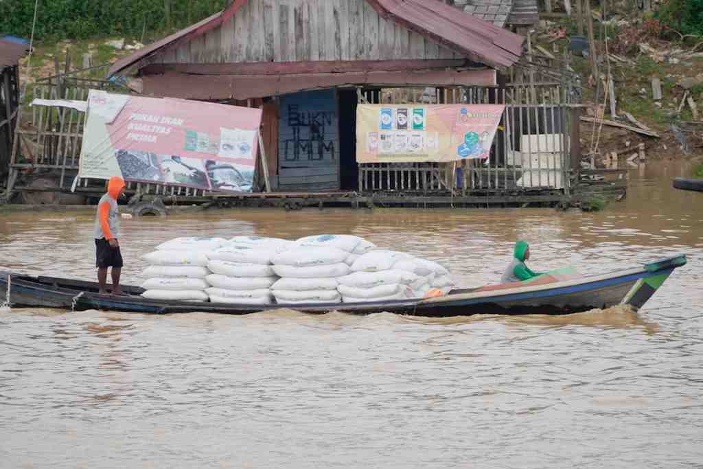 ANGKUT PAKAN IKAN DENGAN KELOTOK 
