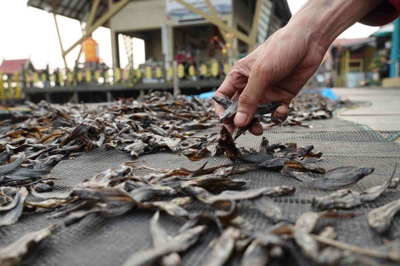 MENJEMUR IKAN SELUANG