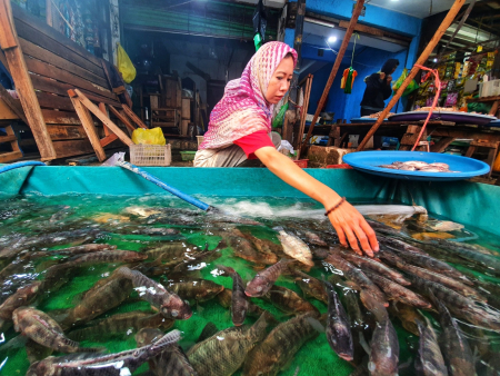 PENJUAL IKAN NILA