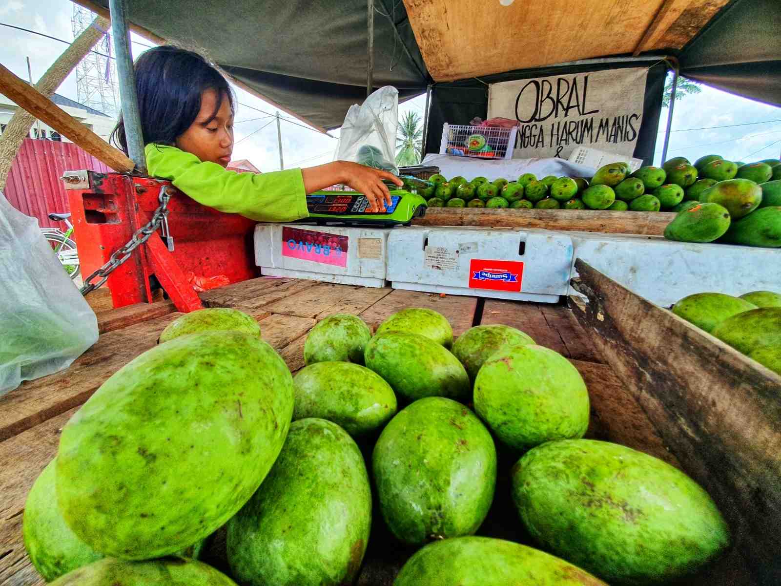JUAL MANGGA HARUM MANIS