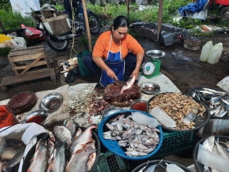 BERSIHKAN IKAN