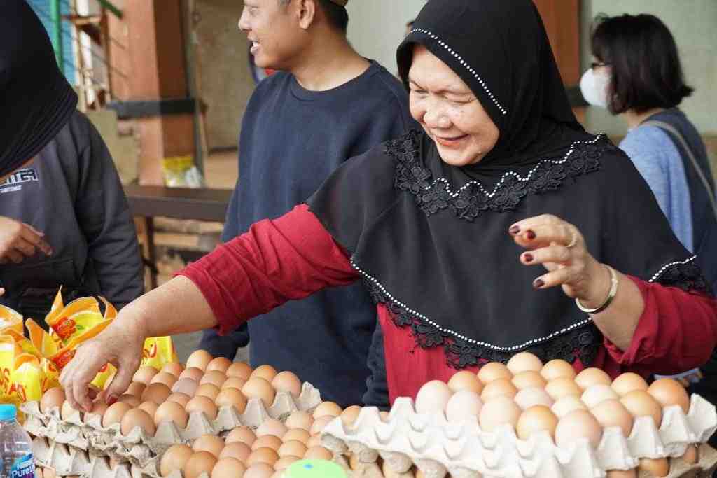 MEMILIH TELUR AYAM RAS