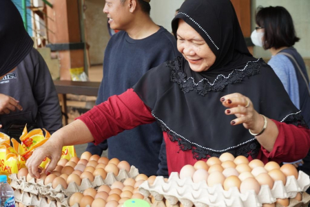 MEMILIH TELUR AYAM RAS