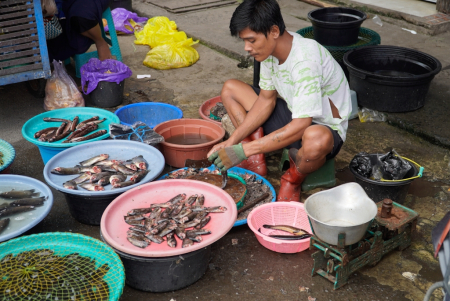 BERSIHKAN IKAN