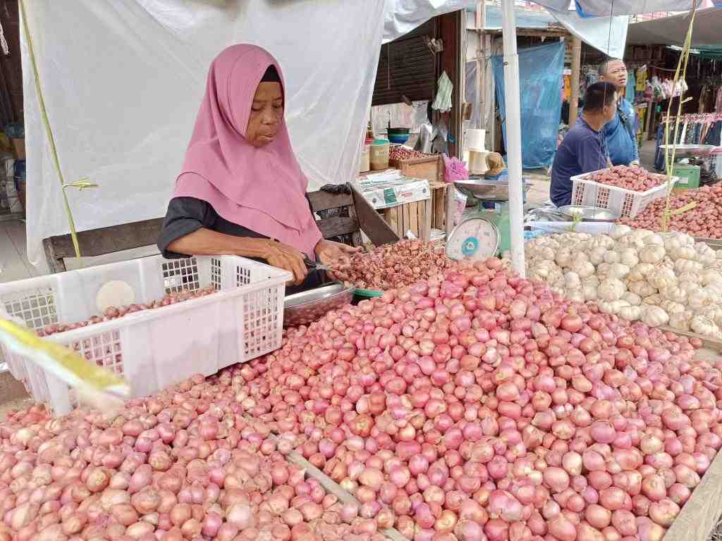 HARGA BAWANG MERAH TURUN