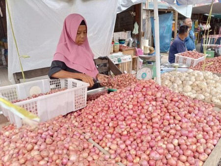 HARGA BAWANG MERAH TURUN